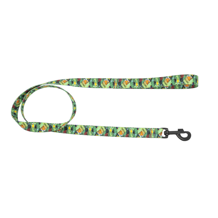 Barry King Smycz dla psa taśma Tropical 25mm/120cm