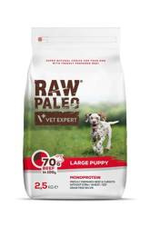 Raw Paleo Large Puppy wołowina 2,5kg