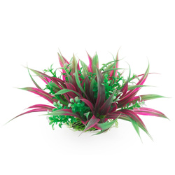 Aqua Natura Roślina do dekoracji akwarium zielono-fioletowa plastikowa 10cm oplątwa