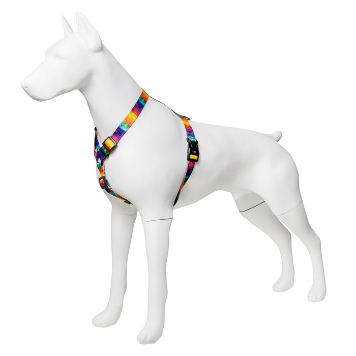 Barry King Szelki taśma dla psa Tęcza 25mm/60-100cm