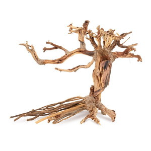 TerraNatura Tonące drzewo Bonsai nr 14 40x30