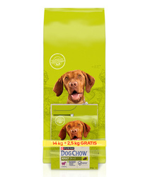 Purina Dog Chow Adult Jagnięcina 14+2,5kg