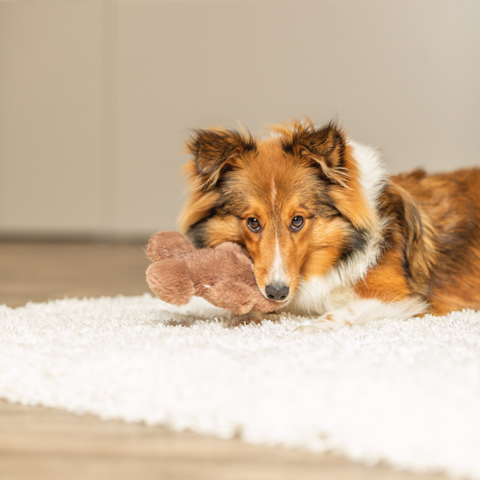 Trixie Xmas Ludzik z Piernika Pluszowa zabawka dla psa 16 cm