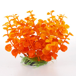 Aqua Natura Roślina do dekoracji akwarium pomarańczowa plastikowa 12cm peperomia szeroka