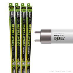 Exo Terra Reptile UVB100 świetlówka T5 do terrarium 8 W