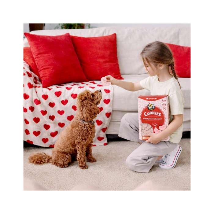 Lolo Pets Ciasteczka dla psa ze żwaczem Walentynkowe 700g