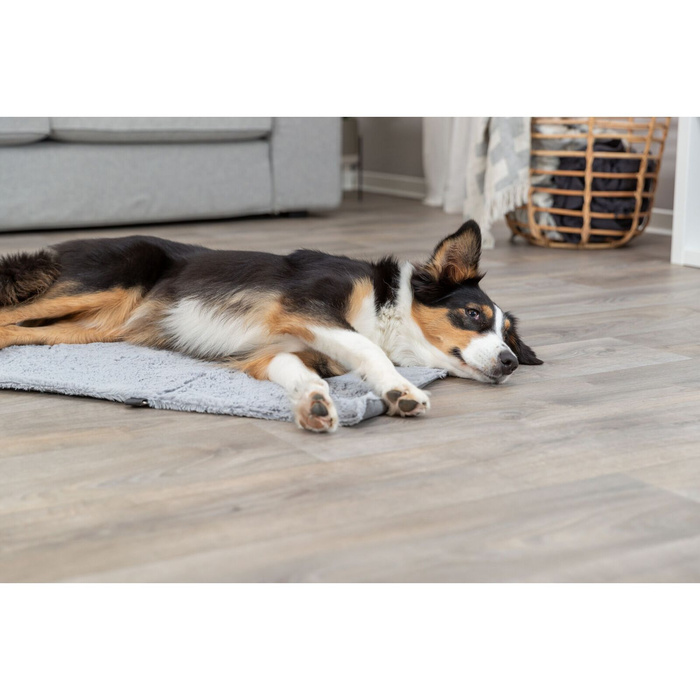 Trixie Amy koc podróżny dla psa szary 70x50cm