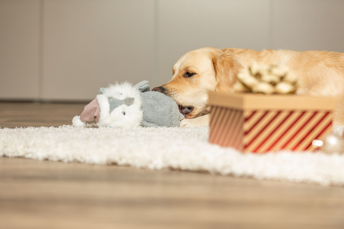 Trixie Xmas Pluszowa Sowa z Bawełnianą Linką 31 cm