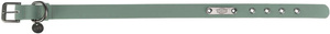 Obroża CityStyle L: 45-52cm/25mm szałwiowa PVC