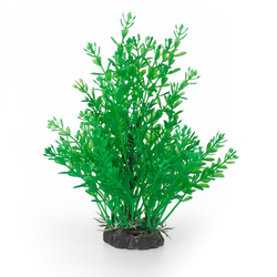 Aqua Natura Roślina do dekoracji akwarium zielona plastikowa 20cm gęste drobne skrzydlate listki
