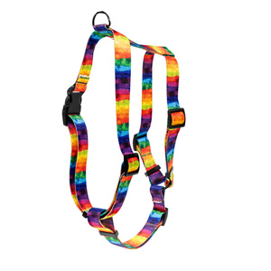 Barry King Szelki taśma dla psa Tęcza 25mm/60-100cm