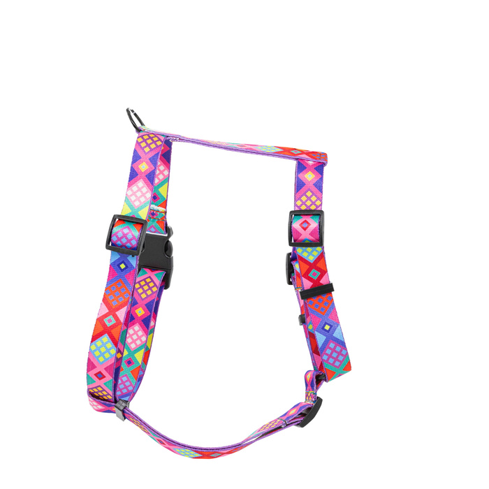 Barry King Szelki taśma dla psa Peru 20mm/50-80cm