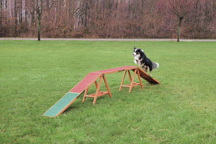 Trixie Fun Agility kładka zręcznościowa 456×64×30cm