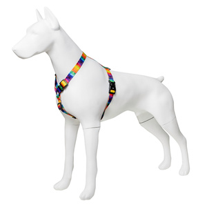 Barry King Szelki taśma dla psa Tęcza 16mm/30-60cm