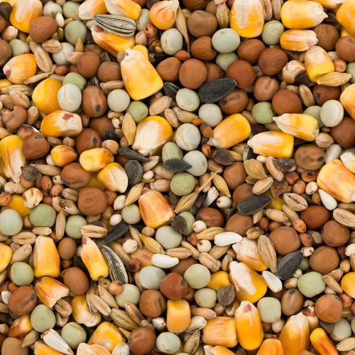 Garden&Fun Karma dla gołębi - 4 pory roku 1kg