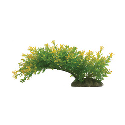 Aqua Natura roślina do dekoracji akwarium zielona plastikowa 23cm rozlegla roślina na wąskiej podstawce żółtawe końcówki liści