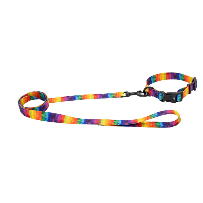 Barry King Obroża taśma dla psa Tęcza 20mm/35-54cm