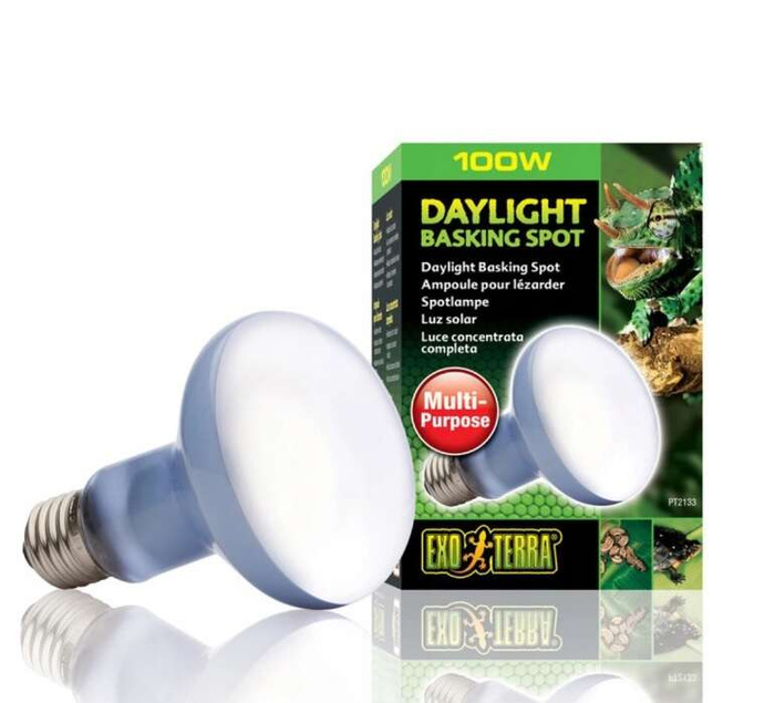 ExoTerra Żarówka Daylight Basking Spot R25/100W
