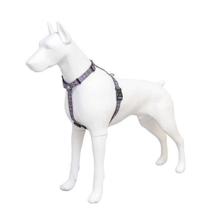 Barry King Szelki taśma dla psa Etno Mandala 25mm/60-100cm