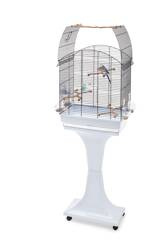 Imac Agata Delux klatka dla ptaków jasnoniebieska 58x33x133cm