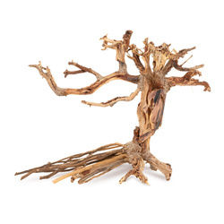 Terra Natura Tonące drzewo Bonsai nr 14 30x25 cm
