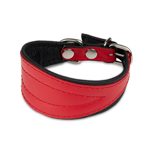 Barry King Obroża dla psa wzór chart 50mm/30cm czerwona
