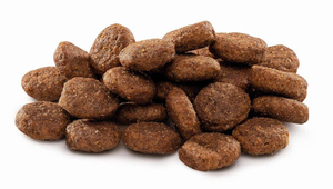 Brit Premium by Nature Junior L Kurczak 3kg sucha karma