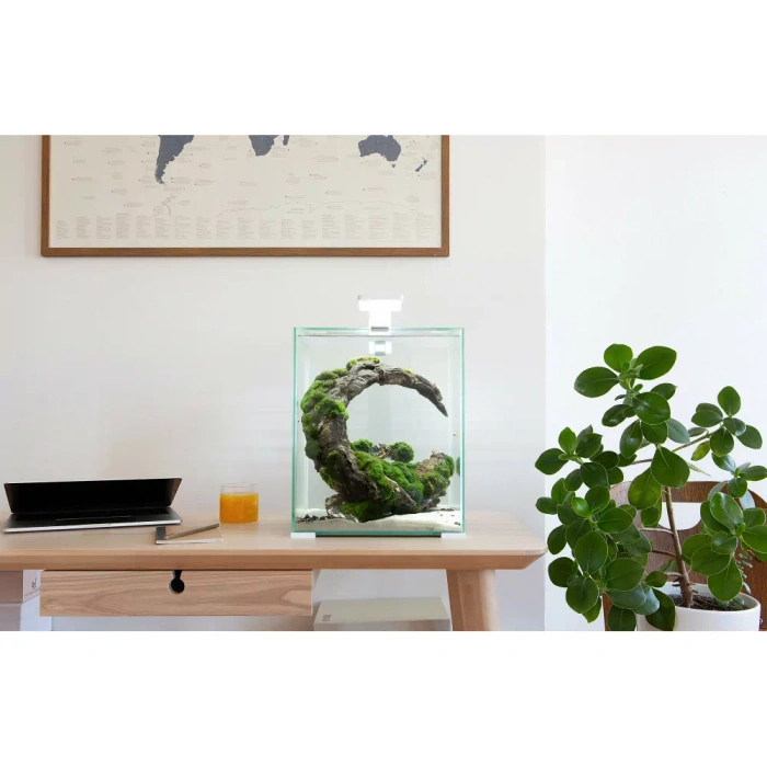 AQUAEL Shrimp Set Smart D&N 30 czarny