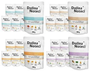 Dolina Noteci Premium Mix Smaków 40x100g