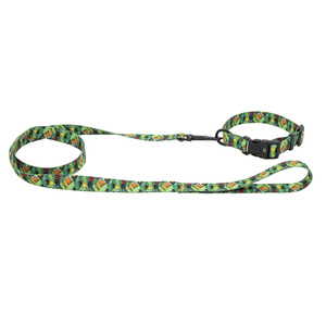 Barry King Obroża taśma dla psa Tropical 16mm/30-47cm