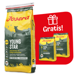 Josera Youngstar 15kg + 2x900g GRATIS