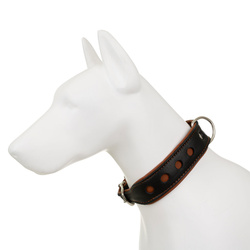 Barry King Obroża Skóra Łoś Strong Koła 50mm/65cm koniak