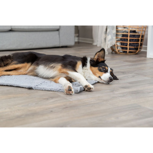 Trixie Amy koc podróżny dla psa szary 70x50cm