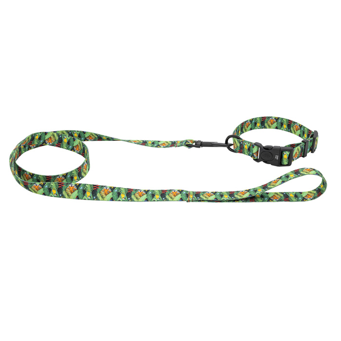 Barry King Obroża taśma dla psa Tropical 16mm/30-47cm