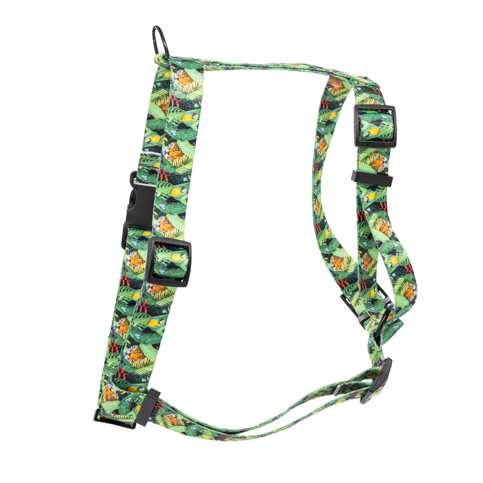 Barry King Szelki taśma dla psa Tropical 20mm/50-80cm