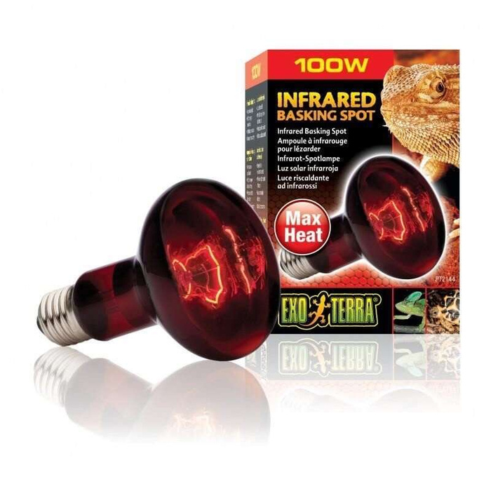 ExoTerra Żarówka Infrared Basking Spot R25/100W