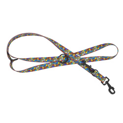 Barry King Smycz regulowana taśma dla psa Dream Party 16mm/220cm