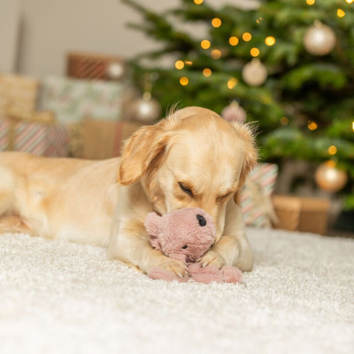 Trixie Xmas Pluszowa Wiewiórka – Szeleszcząca Zabawka 30cm