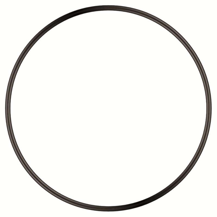 Sera Uszczelka O-ring do Protein Skimmer PS 130