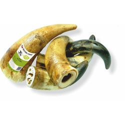 Vector-Food róg wołowy mały