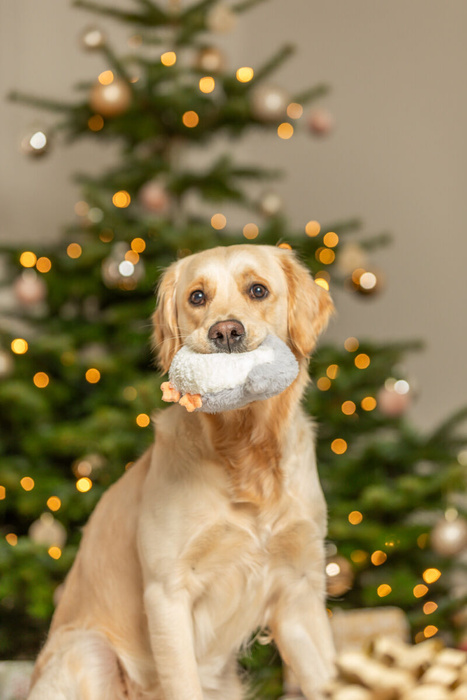 Trixie Xmas Pluszowa Sowa z Bawełnianą Linką 31 cm