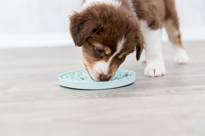 Trixie Junior taca na smakołyki Licking Plate śr. 15 cm