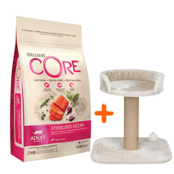 Wellness Core Sterilised Ocean d/kota łosoś 4 kg + gratis drapak niski