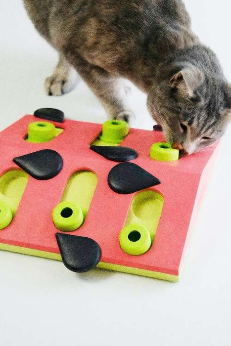 Nina Ottosson Gra Cat Puzzle & Play Melon Madness