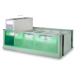 2GR Maxi Tino – Skrzynia transportowa z 5 klatkami Secondino Maxi (67x34cm)