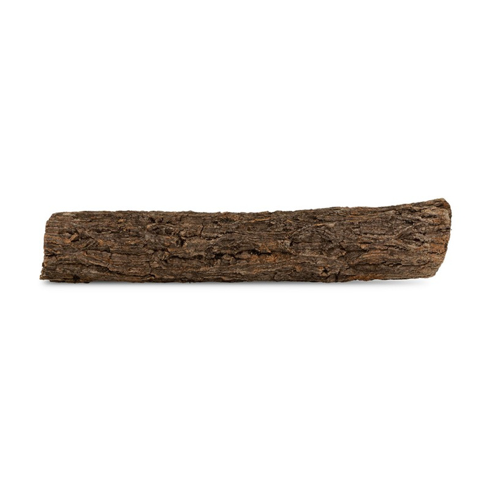 TerraNatura Drewno Champion Tree Trunk