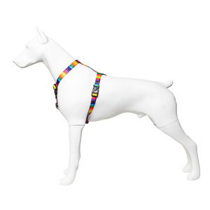 Barry King Szelki taśma dla psa Tęcza 25mm/60-100cm