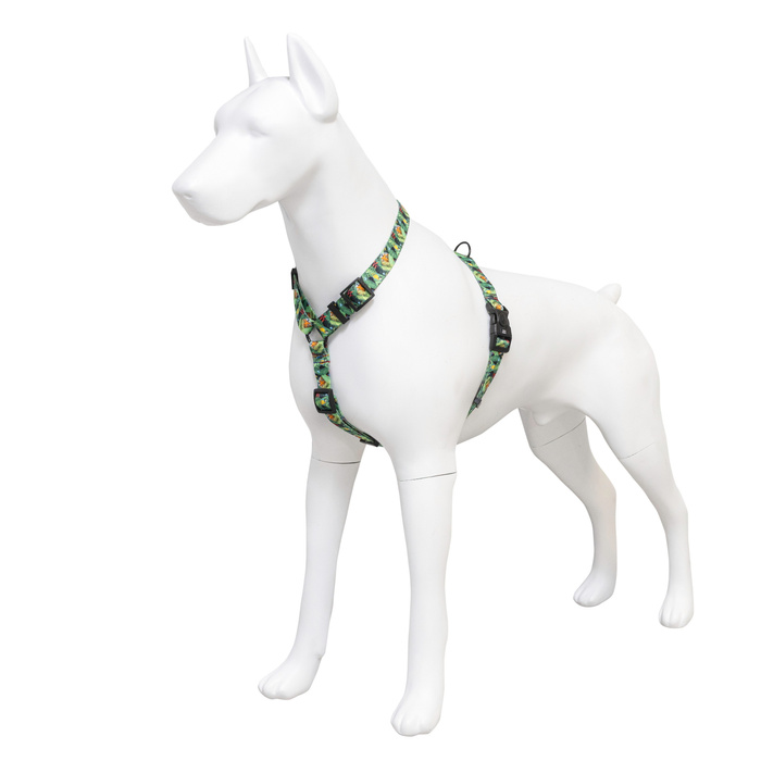 Barry King Szelki taśma dla psa Tropical 20mm/50-80cm