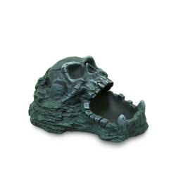 Terra Natura Dekoracja do terrarium miska z czaszką 20cm