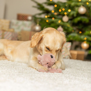 Trixie Xmas Pluszowa Wiewiórka – Szeleszcząca Zabawka 30cm